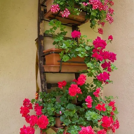 Casa Ricard Issime